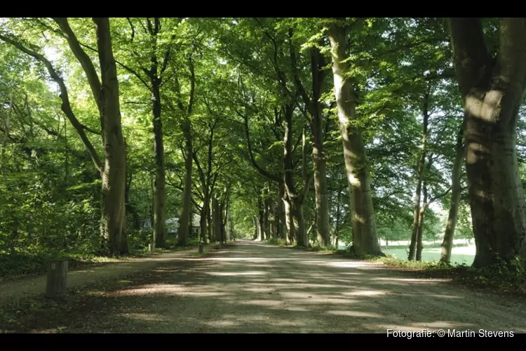 Ontdek het Corversbos