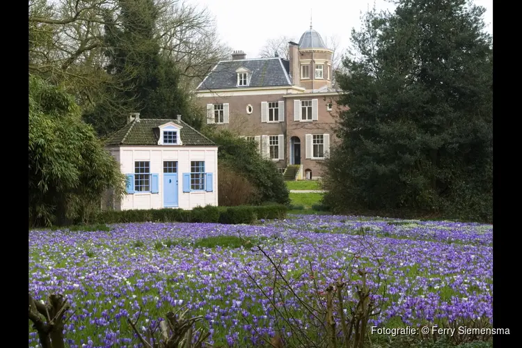 Wandelen langs de krokussen van Jagtlust