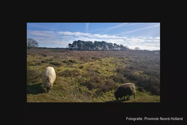 Provincie neemt andere rol in beschermen en versterken Gooise natuur