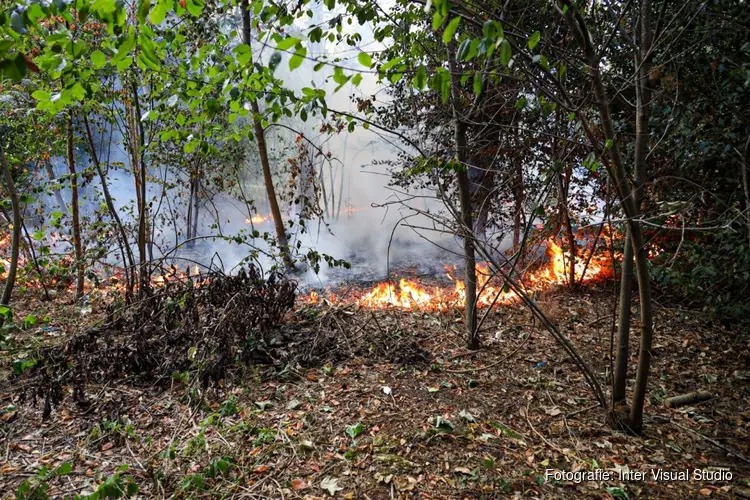 Buitenbrand in bos bij Huizen