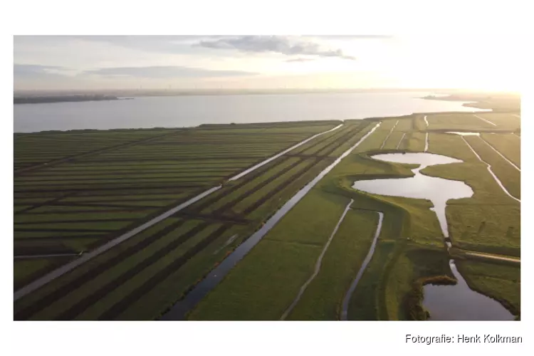 Nieuwe inrichting voor weidevogels in De Kampen