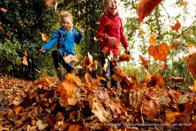 Ontdekkingsreis door de natuur en knutsel je eigen muziekinstrument