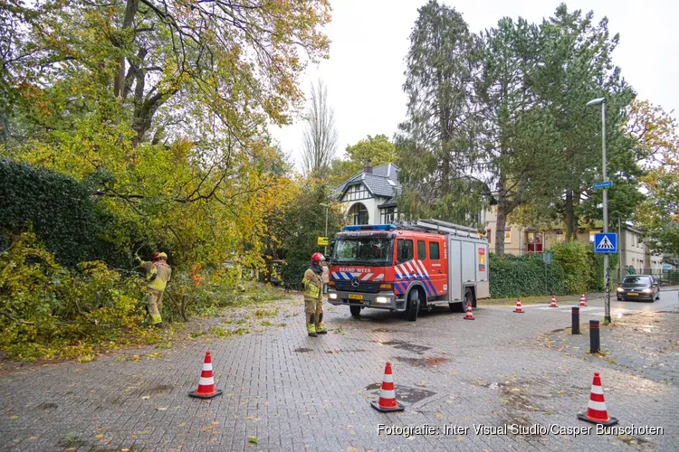 Boom waait om en valt op kruising in Bussum