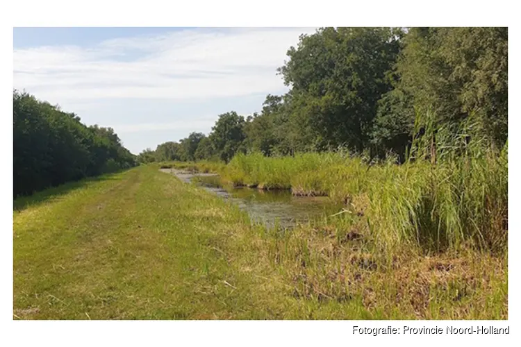 Kansen voor natuurontwikkeling in Kortenhoef Oost