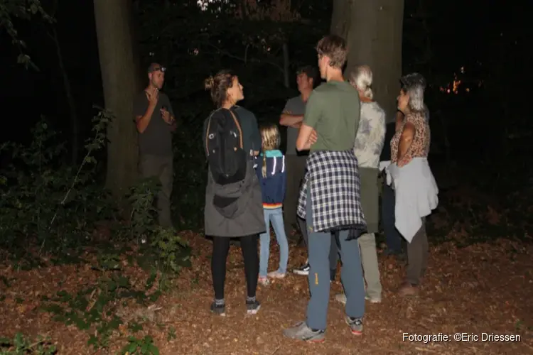 Nacht van de Vleermuis in 's-Graveland