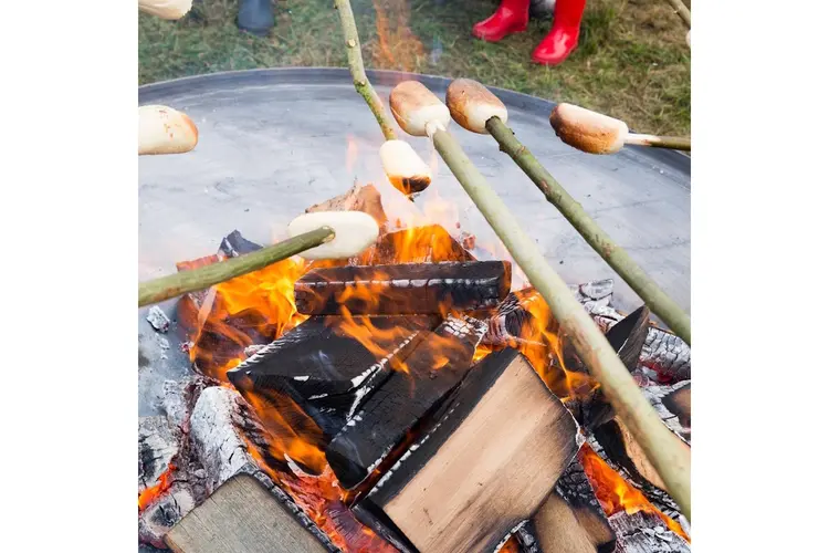 Struinen en broodje bakken met de boswachter