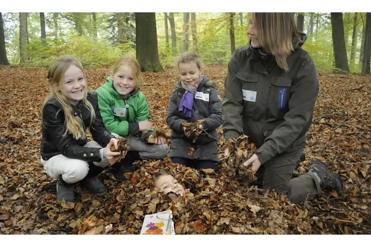 OERRR Struinen en knutselen met de boswachter