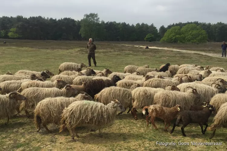 Deal: provincie blijft ondanks &#39;GNR-exit&#39; betrokken bij Gooise natuur