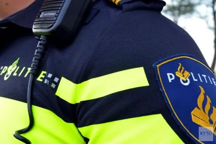 Politie zoekt getuigen vernieling bij school