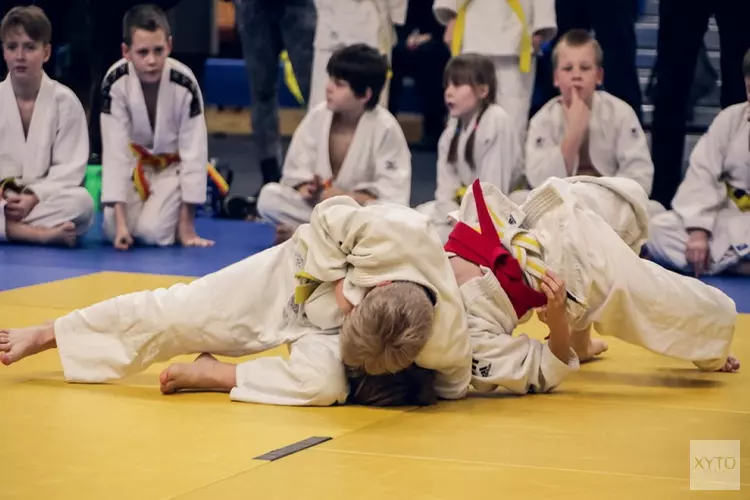 Schooljudo op de Hummelingschool