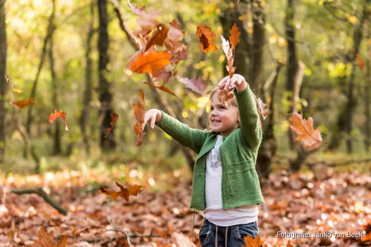 Ga op avontuur in de herfstvakantie in ’s-Graveland!